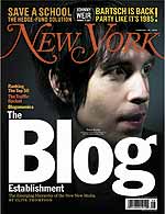 New York Magazine blog story cover